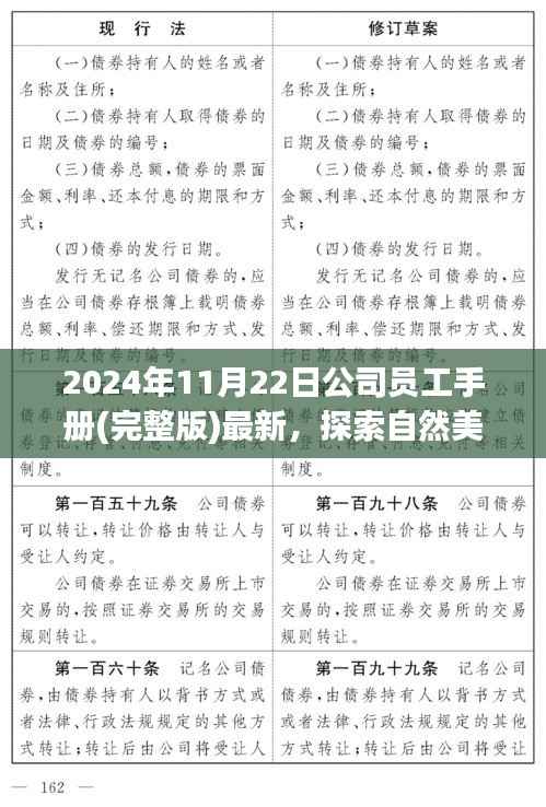2024年全新员工手册,探索自然美景之旅,启程寻找内心的宁静与平和