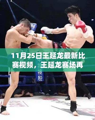 王延龙赛场风云再起,11月25日比赛视频深度解析与回顾