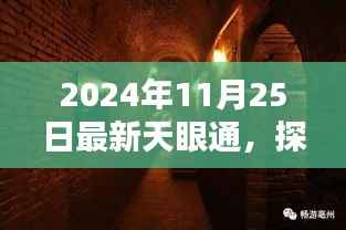 天眼通新发现,巷弄深处的隐藏小店,独特风味探秘之旅(2024年11月25日)