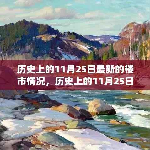 历史上的11月25日楼市深度解析与最新动态报告