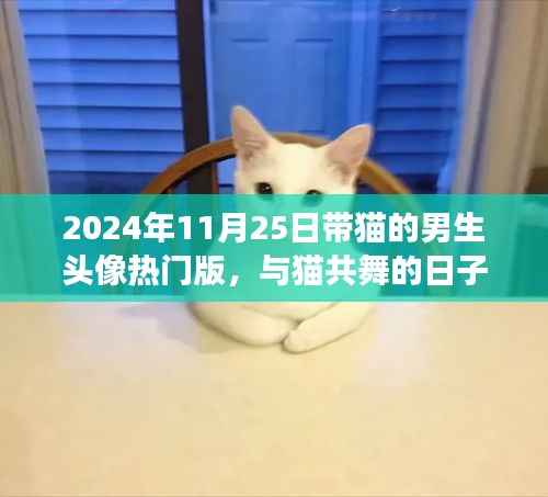 带猫的男生头像背后的故事,与猫共舞的日子(温馨版)