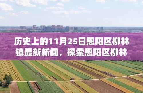 恩阳区柳林镇历史新闻回顾,探索历史上的11月25日新闻与获取新闻的步骤指南