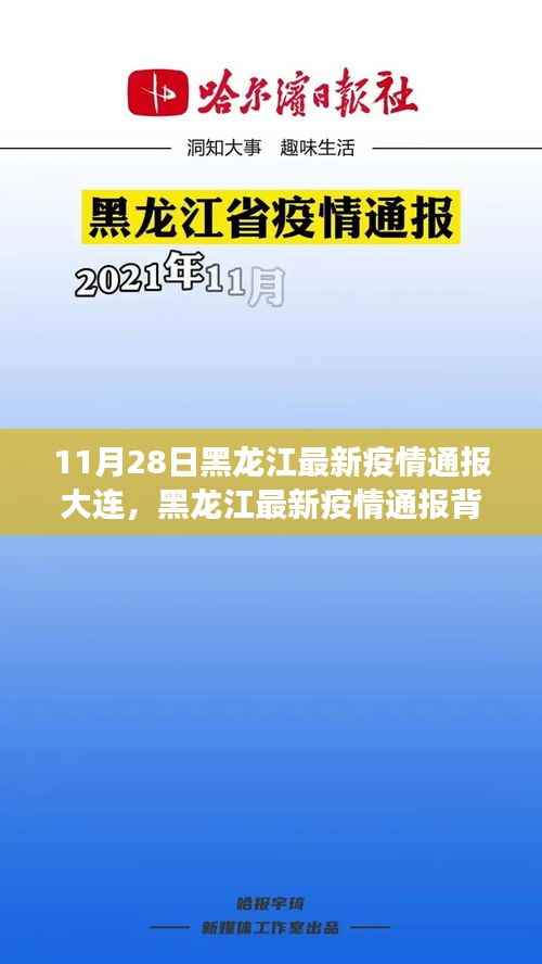 黑龙江最新疫情通报与小巷深处的独特小店探秘,11月28日最新消息
