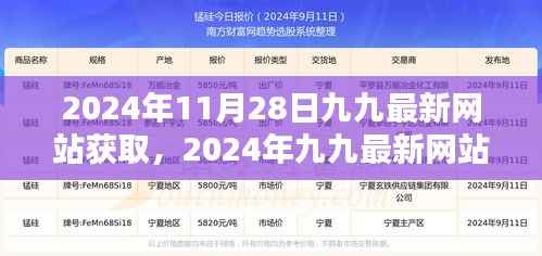 揭秘2024年九九最新网站价值,深度解读其获取方式与价值所在