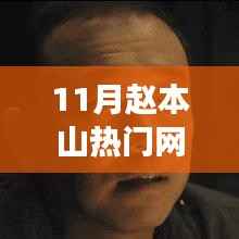 揭秘赵本山热门网剧的成功秘诀,十一月现象背后的故事