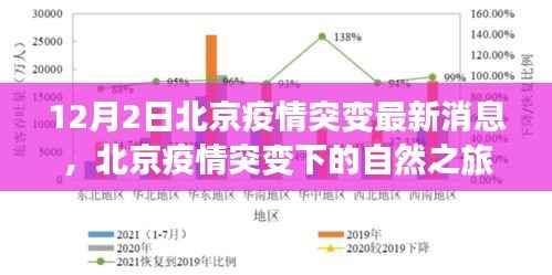 北京疫情突变下的自然之旅,寻找内心的宁静与平和