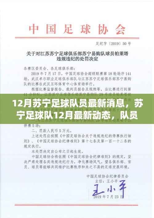 苏宁足球队12月最新动态,备战、转会与训练进展揭秘