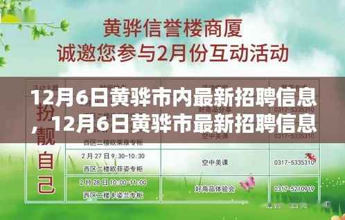 12月6日黄骅市最新招聘信息,就业选择中的机遇与挑战