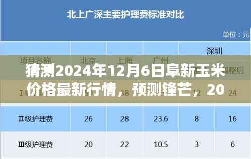 2024年12月6日阜新玉米价格走势深度解析与预测