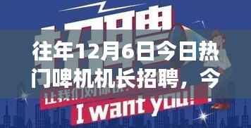 详细步骤指南,如何顺利应聘啤机机长职位,历年热门招聘回顾与应聘策略建议