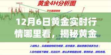 揭秘黄金行情动向,掌握黄金实时行情资讯的三大要点