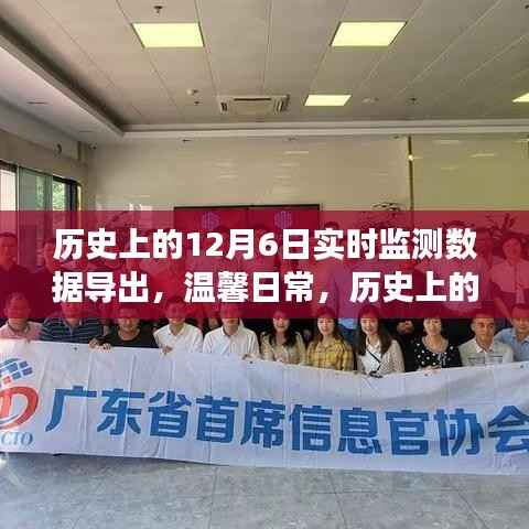 历史上的十二月六日数据之旅,实时监测数据导出与温馨日常回顾