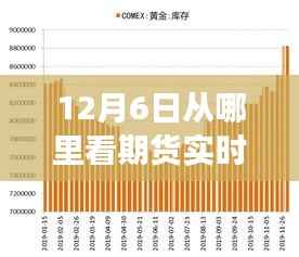 揭秘期货实时增减仓情报站,12月6日观察之旅,洞悉期货动态变化