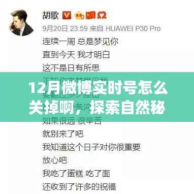 如何优雅关闭微博实时号，探索自然秘境与心灵之旅？