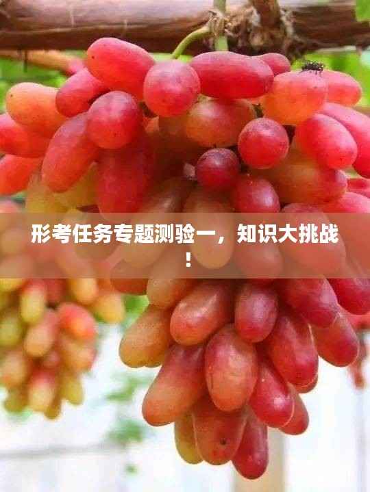形考任务专题测验一，知识大挑战！