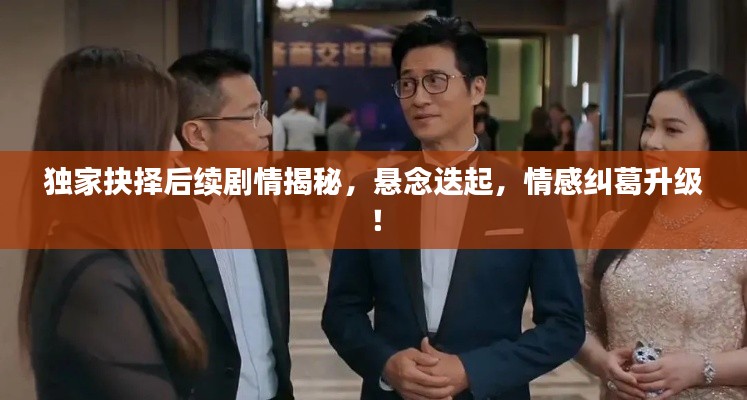 独家抉择后续剧情揭秘,悬念迭起,情感纠葛升级!