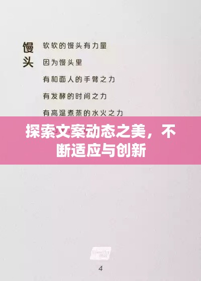 探索文案动态之美,不断适应与创新