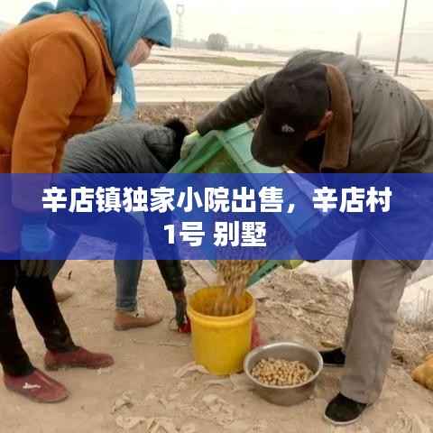 辛店镇独家小院出售,辛店村1号 别墅