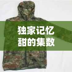 独家记忆甜的集数,独家记忆接吻第几集