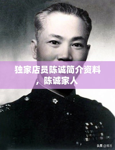 独家店员陈诚简介资料,陈诚家人