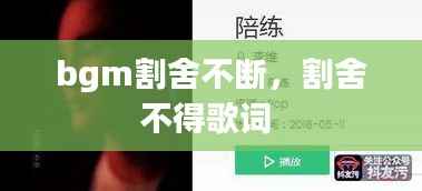 bgm割舍不断,割舍不得歌词