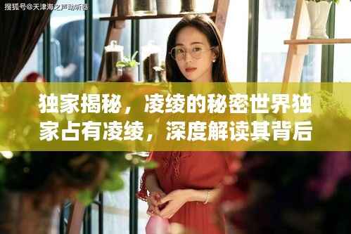 独家揭秘,凌绫的秘密世界独家占有凌绫,深度解读其背后的故事