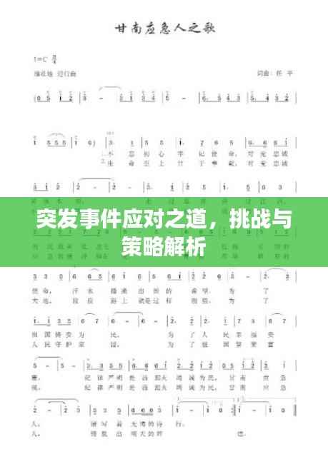 突发事件应对之道,挑战与策略解析
