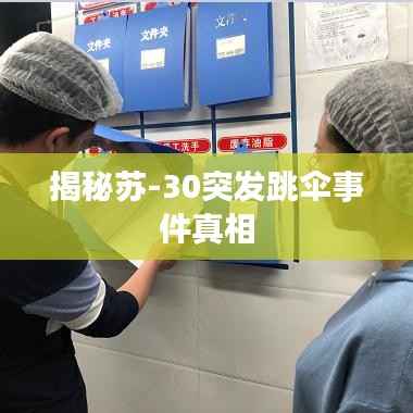 揭秘苏-30突发跳伞事件真相