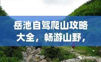 岳池自驾爬山攻略大全,畅游山野,最新指南助你轻松行!