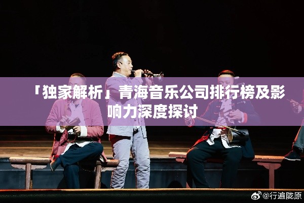 「独家解析」青海音乐公司排行榜及影响力深度探讨
