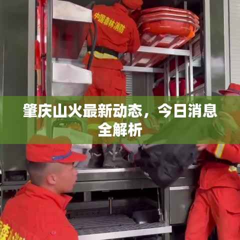 肇庆山火最新动态,今日消息全解析