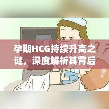 孕期HCG持续升高之谜,深度解析其背后的秘密