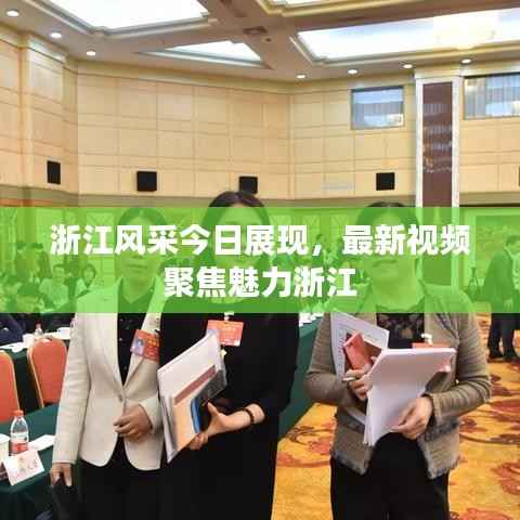 浙江风采今日展现,最新视频聚焦魅力浙江