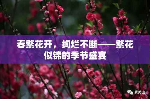 春繁花开,绚烂不断——繁花似锦的季节盛宴