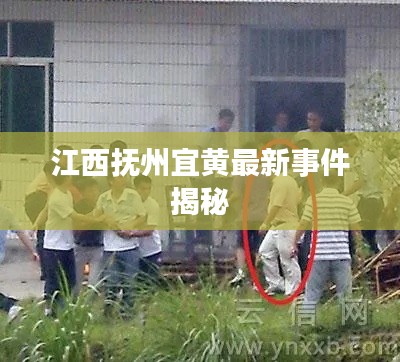 江西抚州宜黄最新事件揭秘