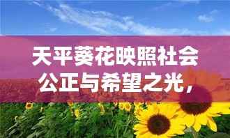 天平葵花映照社会公正与希望之光,新闻头条下的时代风采
