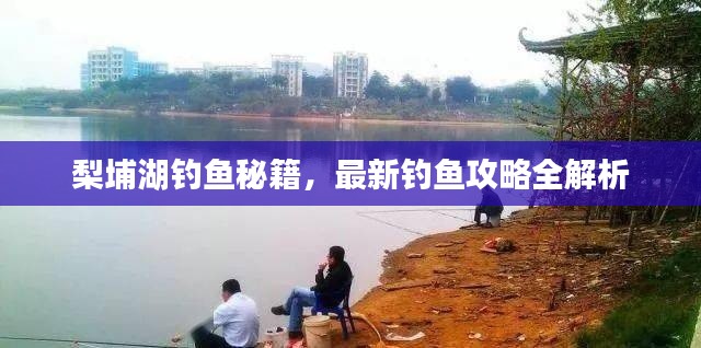 梨埔湖钓鱼秘籍,最新钓鱼攻略全解析