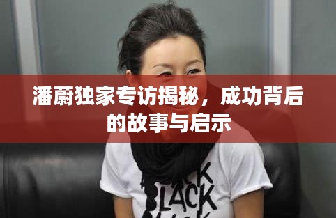潘蔚独家专访揭秘,成功背后的故事与启示