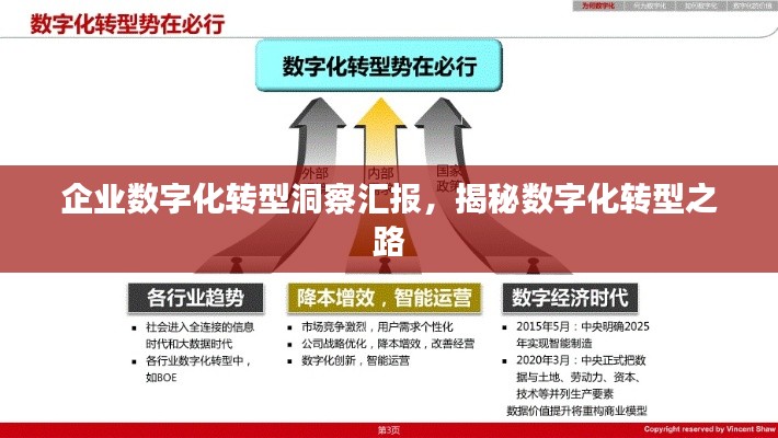 企业数字化转型洞察汇报,揭秘数字化转型之路