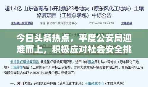今日头条热点,平度公安局迎难而上,积极应对社会安全挑战