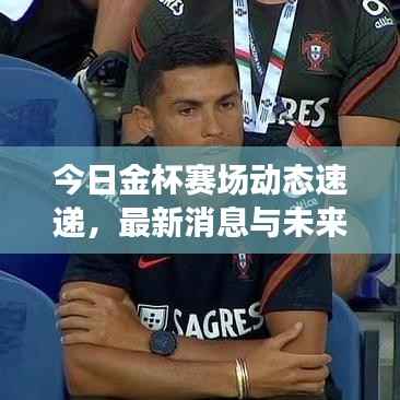 今日金杯赛场动态速递,最新消息与未来展望