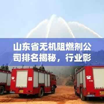 山东省无机阻燃剂公司排名揭秘，行业影响力大揭秘！