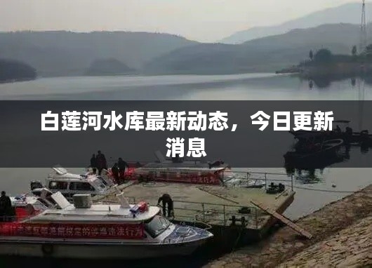 白莲河水库最新动态,今日更新消息