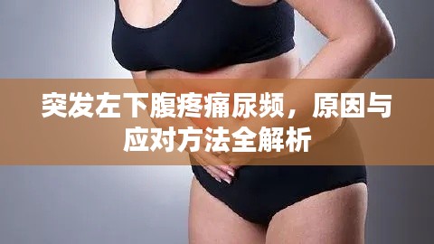 突发左下腹疼痛尿频,原因与应对方法全解析