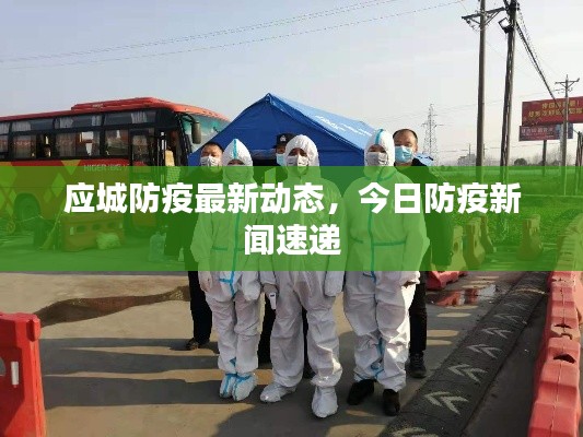 应城防疫最新动态,今日防疫新闻速递