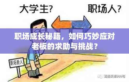 职场成长秘籍,如何巧妙应对老板的求助与挑战?