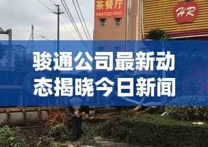 骏通公司最新动态揭晓今日新闻焦点