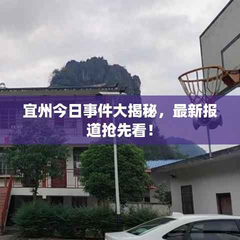 宜州今日事件大揭秘,最新报道抢先看!