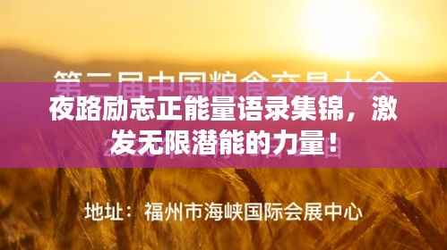 夜路励志正能量语录集锦，激发无限潜能的力量！