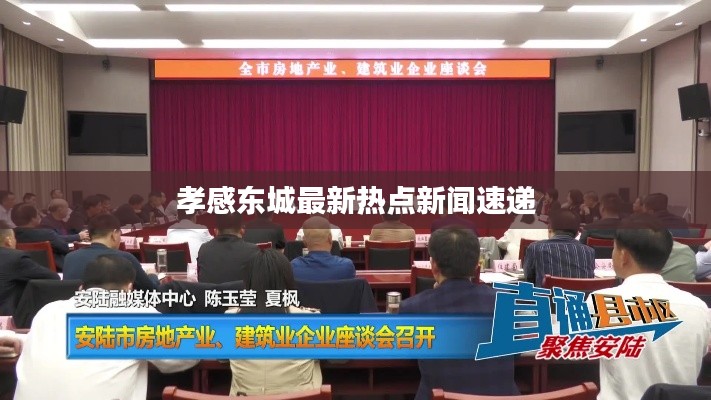 孝感东城最新热点新闻速递